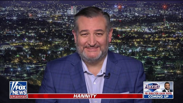 Cruz targets Minnesota-style fraud with bill requiring proof before federal childcare payouts